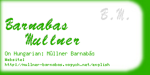 barnabas mullner business card