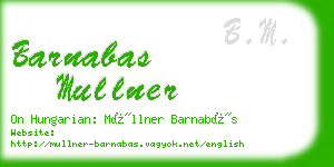 barnabas mullner business card